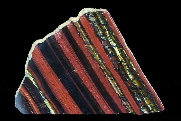 Polished Tiger Iron Stromatolite - ( Billion Years) #75828